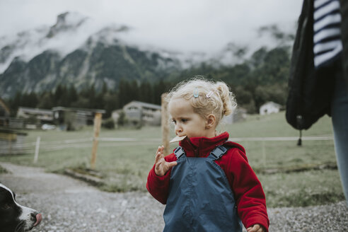 Österreich, Vorarlberg, Mellau, Kleinkind isst Kuchen bei einem Ausflug in die Berge - DWF00313