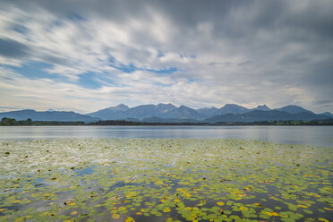 Germany, Bavaria, Allgaeu, Hopfen am See, Hopfensee with lily pads - WGF01115