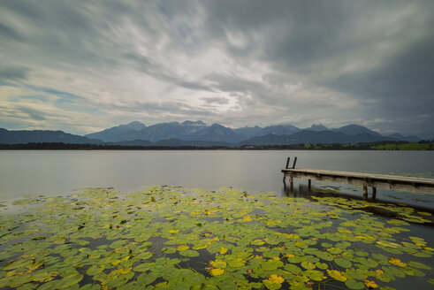 Deutschland, Bayern, Allgäu, Hopfen am See, Hopfensee mit Steg und Seerosenblättern - WGF01116