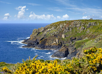 UK, Cornwall, Ruinen einer alten Zinnmine - SIEF07532