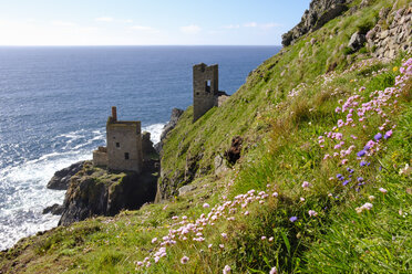 UK, Cornwall, Ruinen einer alten Zinnmine - SIEF07535