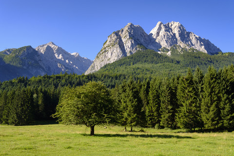 Deutschland, Oberbayern, Wettersteingebirge mit Waxenstein und Alpspitz, lizenzfreies Stockfoto