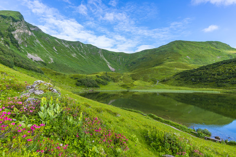 Deutschland, Bayern, Allgäu, Blick auf den Schlappolter See mit Alpenrosen im Vordergund, lizenzfreies Stockfoto