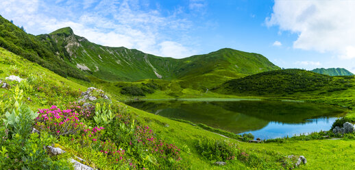 Deutschland, Bayern, Allgäu, Blick auf den Schlappolter See mit Alpenrosen im Vordergund - WGF01122