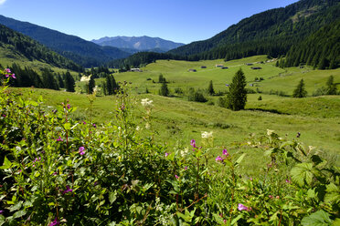 Deutschland, Bayern, Valepp-Alm mit Hütten am Spitzingsee - LBF01650