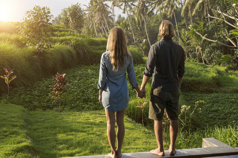Couple holding hands while standing on the edge of a pool and enjoying stunning view of sunset in lush tropical garden stock photo