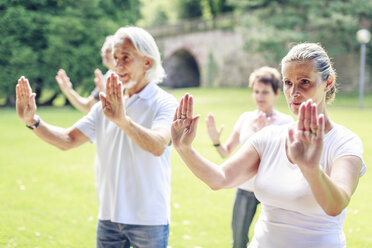 Gruppe von Senioren macht Tai Chi in einem Park - PNPF00008