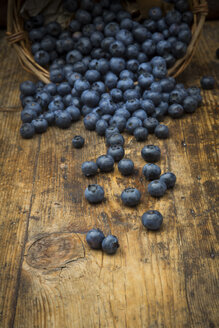 Blueberries on wood - LVF06279