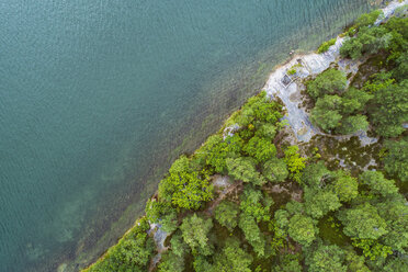 Schweden, Vaestervik, Wald am Meer - TAMF00910