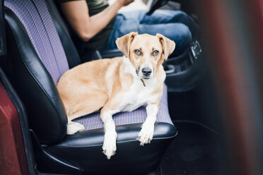 Mann mit Hund auf dem Beifahrersitz in einem Auto liegend - MOEF00150
