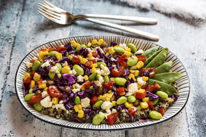 Quinoa-Salat mit Edamame, Feta, Granatapfelkernen, Tomaten, Rotkohl und Zuckerschoten auf einem Teller - SARF03374
