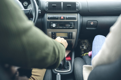 Couple in car with small dog looking at camera stock photo