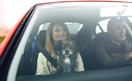 Glückliches Paar mit kleinem Hund im Auto - DAPF00810