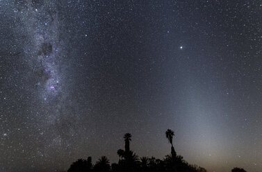 Namibia, Region Khomas, bei Uhlenhorst, Astrofoto, Band der Milchstraße und paralleles Zodiakallicht mit Palmen im Vordergrund in der Dämmerung - THGF00001