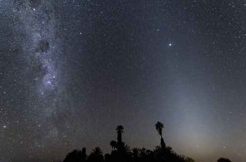 Namibia, Region Khomas, bei Uhlenhorst, Astrofoto, Band der Milchstraße und paralleles Zodiakallicht mit Palmen im Vordergrund in der Dämmerung - THGF00001