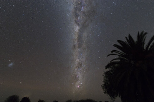 Namibia, Region Khomas, bei Uhlenhorst, Astrofoto, Südliche Milchstraße und Kleine Magellansche Wolke mit Palmen im Vordergrund, Weichzeichner - THGF00008