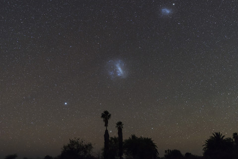 Namibia, Region Khomas, near Uhlenhorst, Astrophoto, chain of star Canopus, Large Magellanic Cloud and Small Magellanic Cloud with palm trees in foreground stock photo