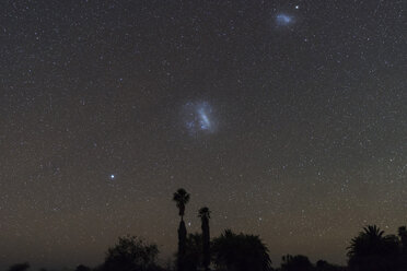 Namibia, Region Khomas, bei Uhlenhorst, Astrofoto, Sternkette Canopus, Große Magellansche Wolke und Kleine Magellansche Wolke mit Palmen im Vordergrund - THGF00009