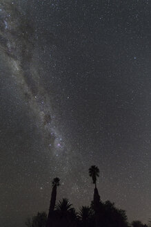 Namibia, Region Khomas, bei Uhlenhorst, Astrofoto, Band der südlichen Milchstraße mit Palmen im Vordergrund - THGF00012