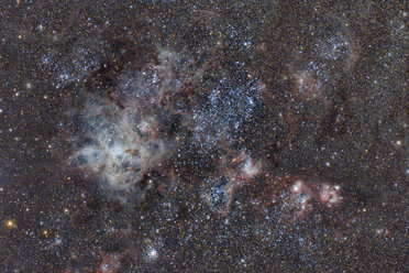 Namibia, Region Khomas, bei Uhlenhorst, Astrofoto des Emissionsnebels NGC 2070 oder Tarantelnebels in der Großen Magellanschen Wolke mit einem Teleskop - THGF00013