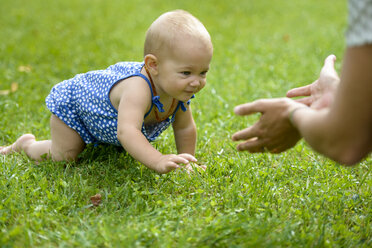Kleines Mädchen krabbelt im Gras - LBF01655