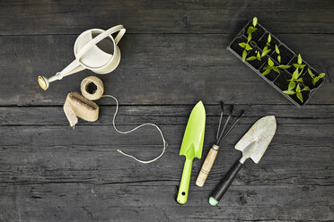 Gardening tools and seedlings on dark wood - PDF01399