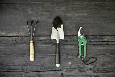 Three gardening tools on dark wood - PDF01400