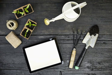 Gardening tools, seedlings and tablet on dark wood - PDF01402
