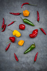 Various chili pods on grey background - LVF06316