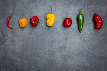 Row of various chili pods on grey background - LVF06318