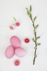 Hand dyed pink Easter eggs with daisy and catkin decoration on wooden background - GWF05261
