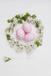 Hand dyed pink Easter eggs in cherry blossom nest on wooden background - GWF05263