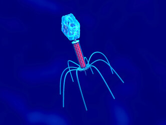 3D gerenderte Illustration einer Konvergenz zu einem Bakteriophagen - SPCF00169