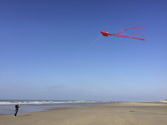 Belgien, Flanderns Küste, Nordseestrand, Mann fliegt Octupus-Stunt-Drachen - GWF05271