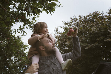 Father carrying his little daughter on shoulders - KMKF00007