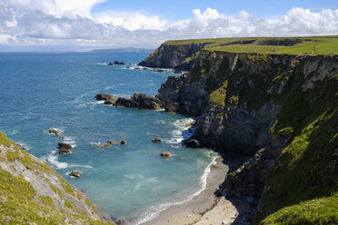 UK, England, Cornwall, Bucht mit Seehund bei Godrevy Point - SIEF07560