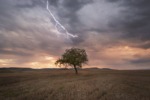 Lightning over lonely tree at scenic sunset - DHCF00159