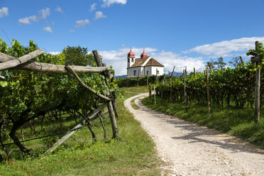 Italien, Südtirol, Eppan, Gleifkapelle im Weinberg - LBF01676