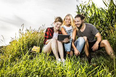 Freunde teilen sich ein Tablet in einem Maisfeld - FMKF04573