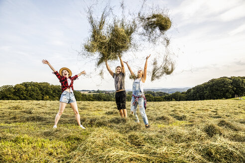 Unbekümmerte Freunde, die auf einem Feld Heu werfen - FMKF04578