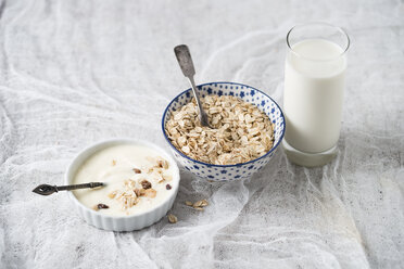 Bowls of granola, oat flakes and natural yoghurt and a glass of milk - MYF01960