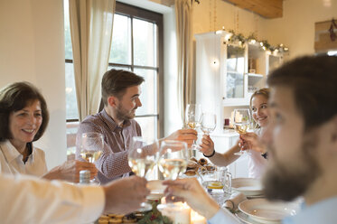 Family clinking glasses at Christmas dinner - HAPF02186