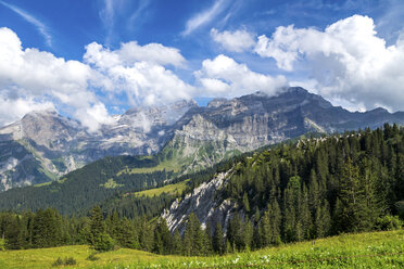 Switzerland, Fribourg, mountain range near Montbovon - PUF00772