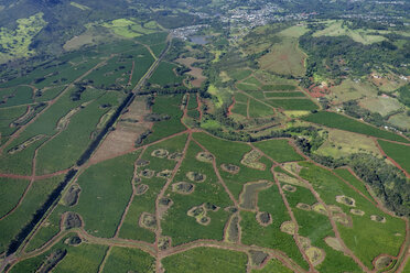 USA, Hawaii, Kauai, Southern coast, coffee plantation, aerial view - HLF01032