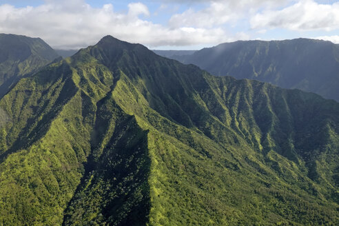 USA, Hawaii, Kauai, Halelea Forest Reserve, aerial view - HLF01033