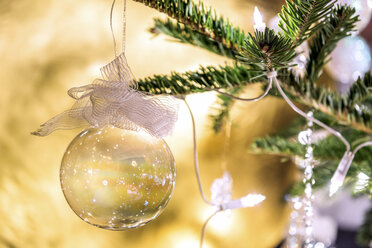 Fir branch with transparent Christmas bauble, close-up - PUF00774