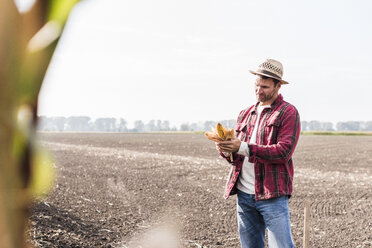 Landwirt auf einem Feld, der Maiskolben untersucht - UUF11910