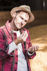 Farmer scrutinizing grain of maize - UUF11934