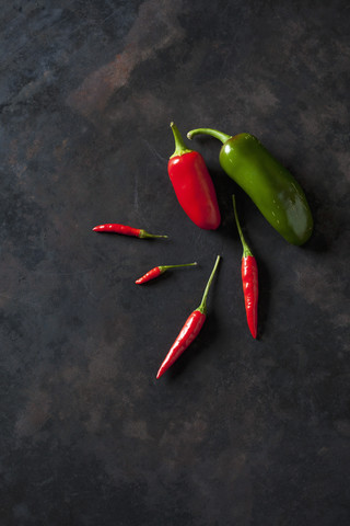 Fünf rote Bio-Chilischoten und eine grüne Chilischote auf dunklem Grund, lizenzfreies Stockfoto