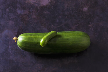 Two organic cucumbers on dark ground - CSF28355